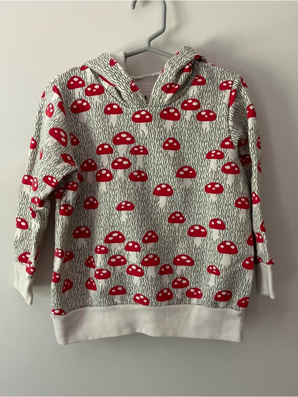Kids Organic Cotton Hoodie Sweatshirt Cute Mushrooms 4T Winter Water Factory